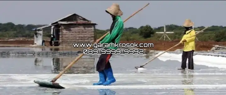 Distributor Garam Krosok Madura Grade A – Suplier Resmi Surabaya Barat